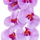 Орхидея светло-фиолетовая, 9 соцветий